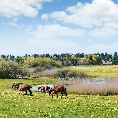 Lovely In With Sauna